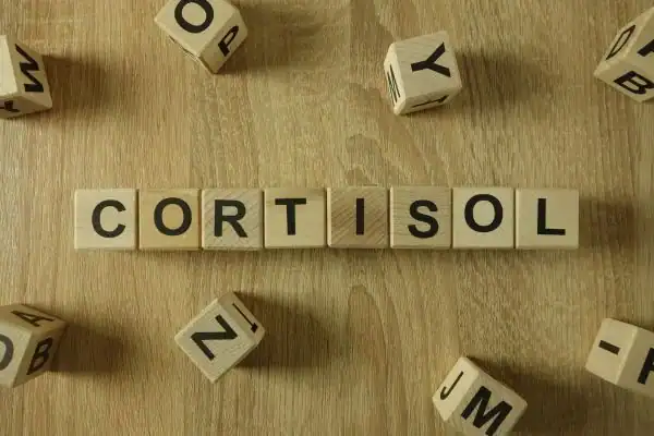 The Hidden Connection: How Stress Shapes Your Fitness and Body Composition 2 Image saying "Cortisol" and how stress West Mersea impacts your wellbeing and bodies shape